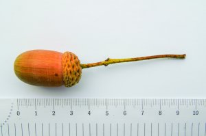 foto: Galerie hlavního města Prahy