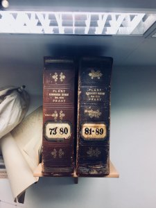 Foto ING!!! Kamila Šmídová