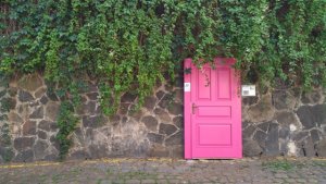 Alice Frydrychová A Spol Nezastihnutelný; Foto: Ondřej Pokoj