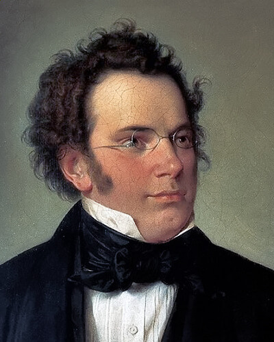 Franz Schubert by Wilhelm August Rieder 1875 (výřez), public domain
