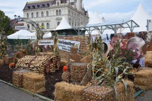 foto: pořadatel akce