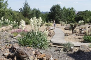 foto: Botanická zahrada hl. m. Prahy