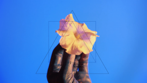 Lucie Rosenfeldová, K Managementu Pochybnosti, Video Still, 2014