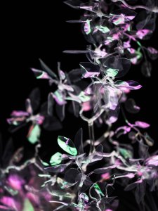 Martin Opl, In Light, 2018, foto Tomáš Slavík