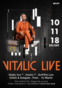 Vitalic Flyer WEB