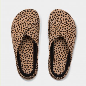 foto: pořadatel akce