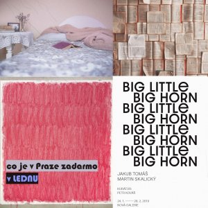 koláž: redakce; foto: pořadatelé akcí