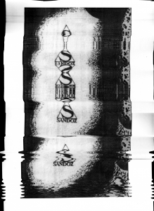 foto: pořadatel akce