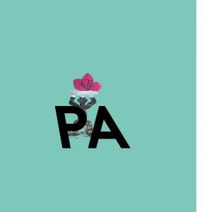 Patrik / Veronika Přikrylová, artwork Pavel Tichoň