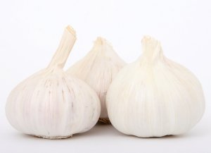 Garlic 1238337 1280
