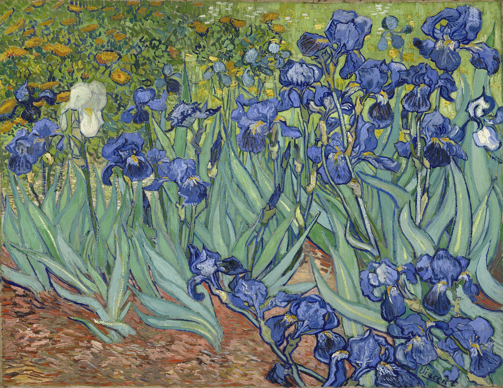 Vincent van Gogh - Irises (Kosatce) (1889). Vincent van Gogh [Public domain], <a href=