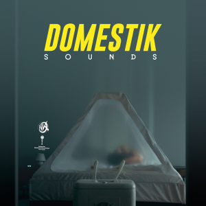 VK DomestikSounds