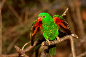 foto Darina Kafková