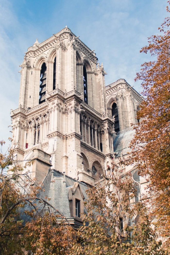 Video: Uvnitř Notre Dame Po Požáru