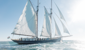 Plachetnice Lush. Foto Lush