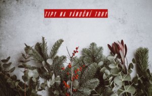 Annie Spratt QKo Op GR9I Unsplash