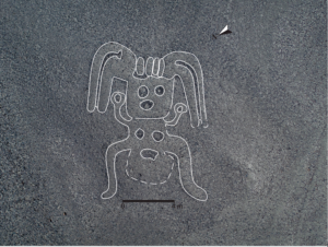 Picture Provided by Yamagata University