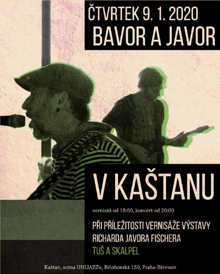 Výstava Tuš A Skalpel Od 9. Ledna K Vidění V Kaštanu