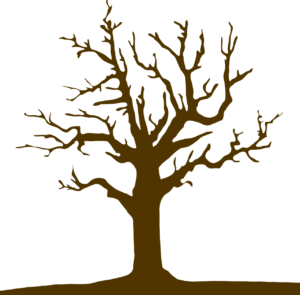 Illustration: Image by prettysleepy1 from Pixabay