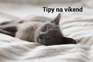 Photo by Alexander Possingham on Unsplash