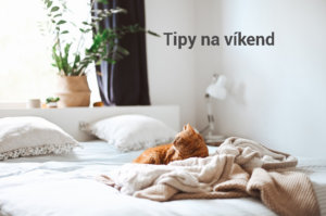 Photo by Gaelle Marcel on Unsplash