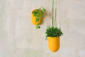 Plantarium závěsný květník Foto: Kvartýr shop & studio