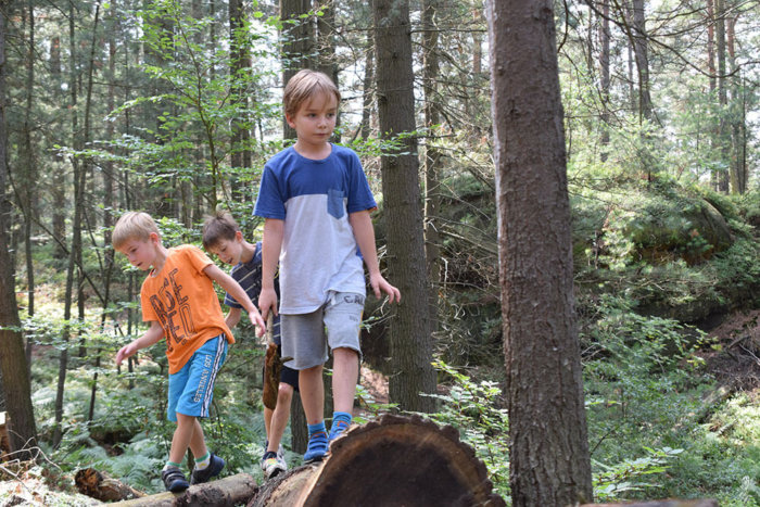 Les Dětem Prospívá Víc, Než Jste Možná Tušili