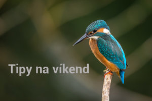 Photo by Vincent van Zalinge on Unsplash