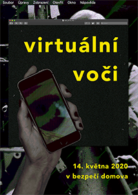 Virtuální Voči Plakát A3