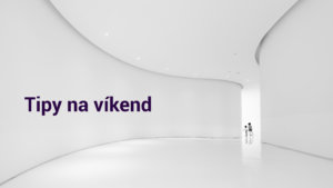 Photo by kimi lee on Unsplash