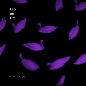 Lab On Fire Berlin Night