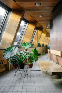 Foto kredit: narodnisauna.cz & Jan Zima