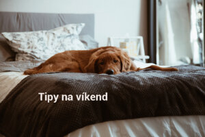 Photo by Conner Baker on Unsplash