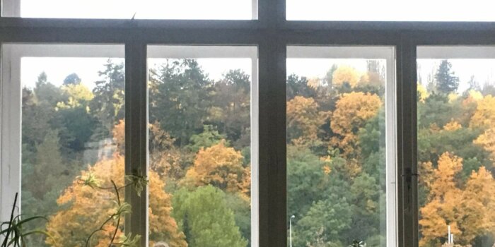 (výhled z okna při podzimní home office, foto AV)