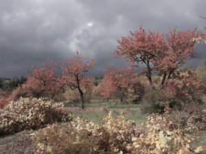 Aautorka snímku: bubenice Dominika Srostlíková