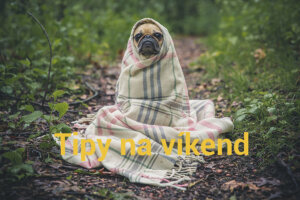 Photo by Matthew Henry on Unsplash