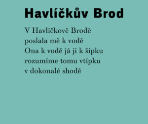 Havlickuv Brod Rikanka TZ