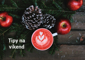 Photo by Toa Heftiba on Unsplash