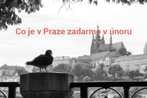 Photo by Dimitry Anikin on Unsplash