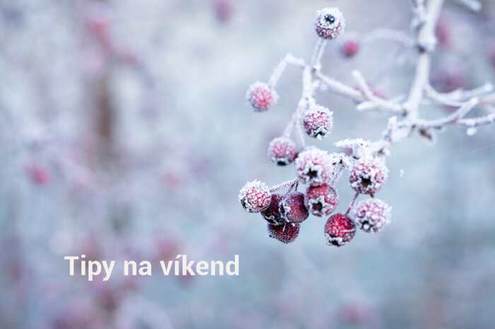 Tipy Na Víkend 8. – 10. Ledna