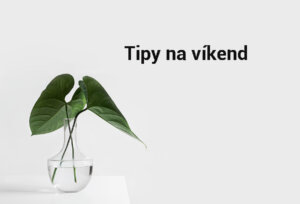 Photo by Sarah Dorweiler on Unsplash