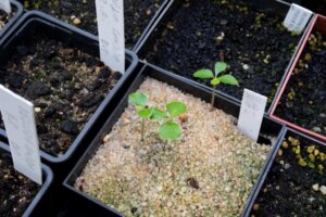 87C5961D 6451 4AF7 A9C3 12CCEC76727F