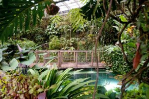 Fata Morgana, Botanická zahrada hl. m. Prahy