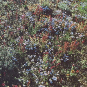 obal alba Before The Road, foto  Alexander Fedotov