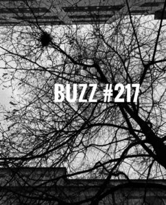 155430595 3674643629270364 2304859813908492634 O