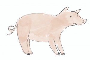 repro Jak zní svět