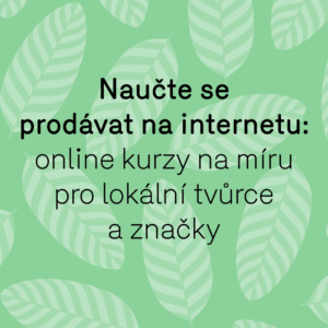 Kurz IG Naucte Se Prodavat Na Internetu (1)