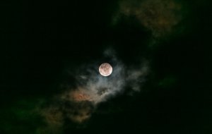 Photo by Kenrick Mills on Unsplash
  - ilustrační foto