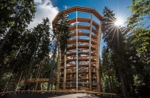 Stezka korunami stromů