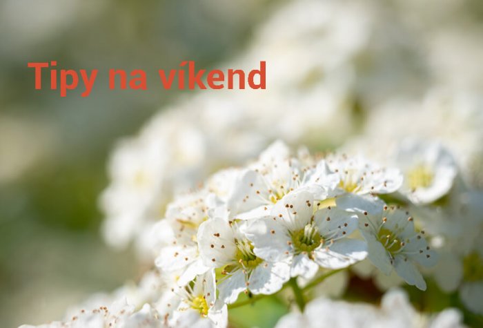 Tipy Na Víkend 7. – 9. Května